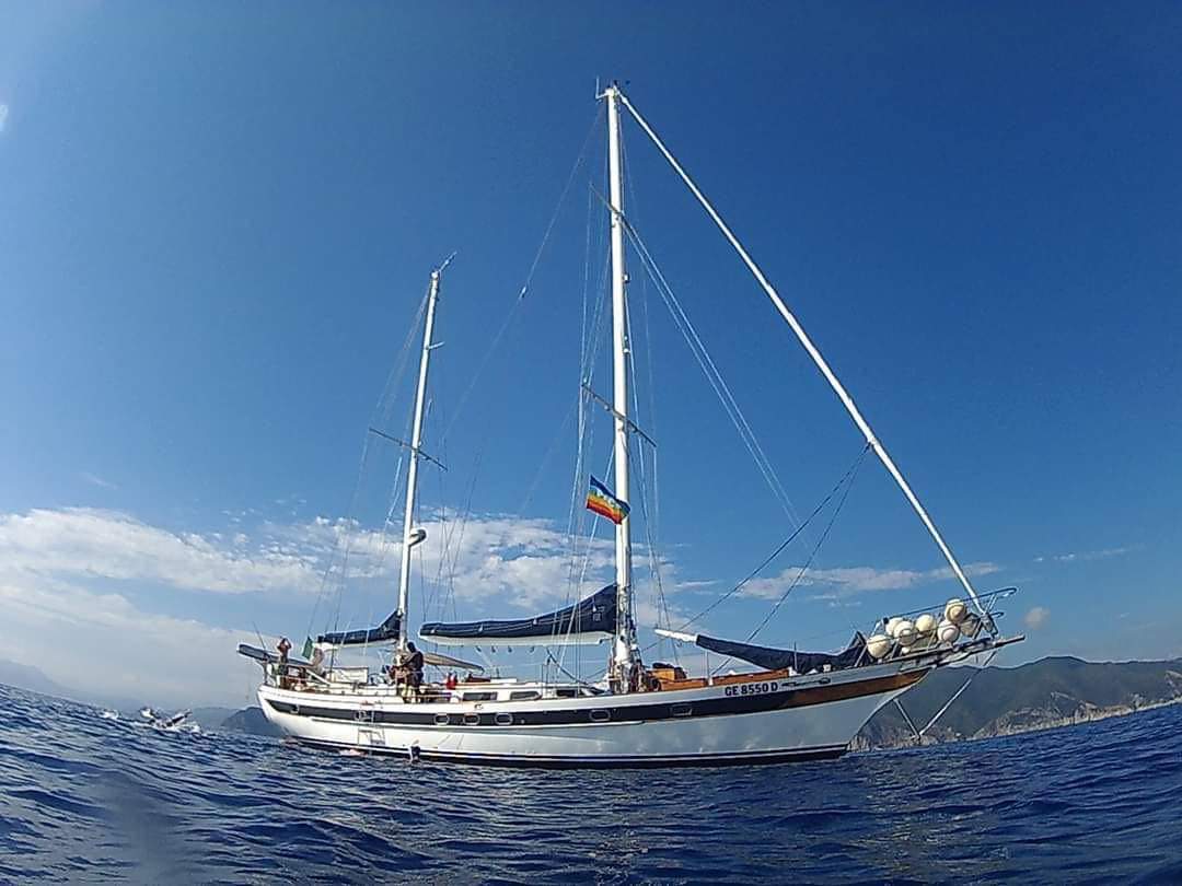 𝗜 𝗧𝗲𝘁𝗿𝗮𝗴𝗼𝗻𝗮𝘂𝘁𝗶 - 𝗜𝗻𝗰𝗼𝗻𝘁𝗿𝗼 𝗶𝗻 𝗯𝗶𝗯𝗹𝗶𝗼𝘁𝗲𝗰𝗮