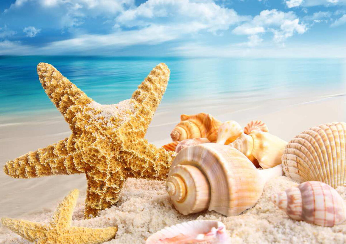 NUOVE MODALITA' DI RITIRO LIBRI VILLA FABBRICOTTI